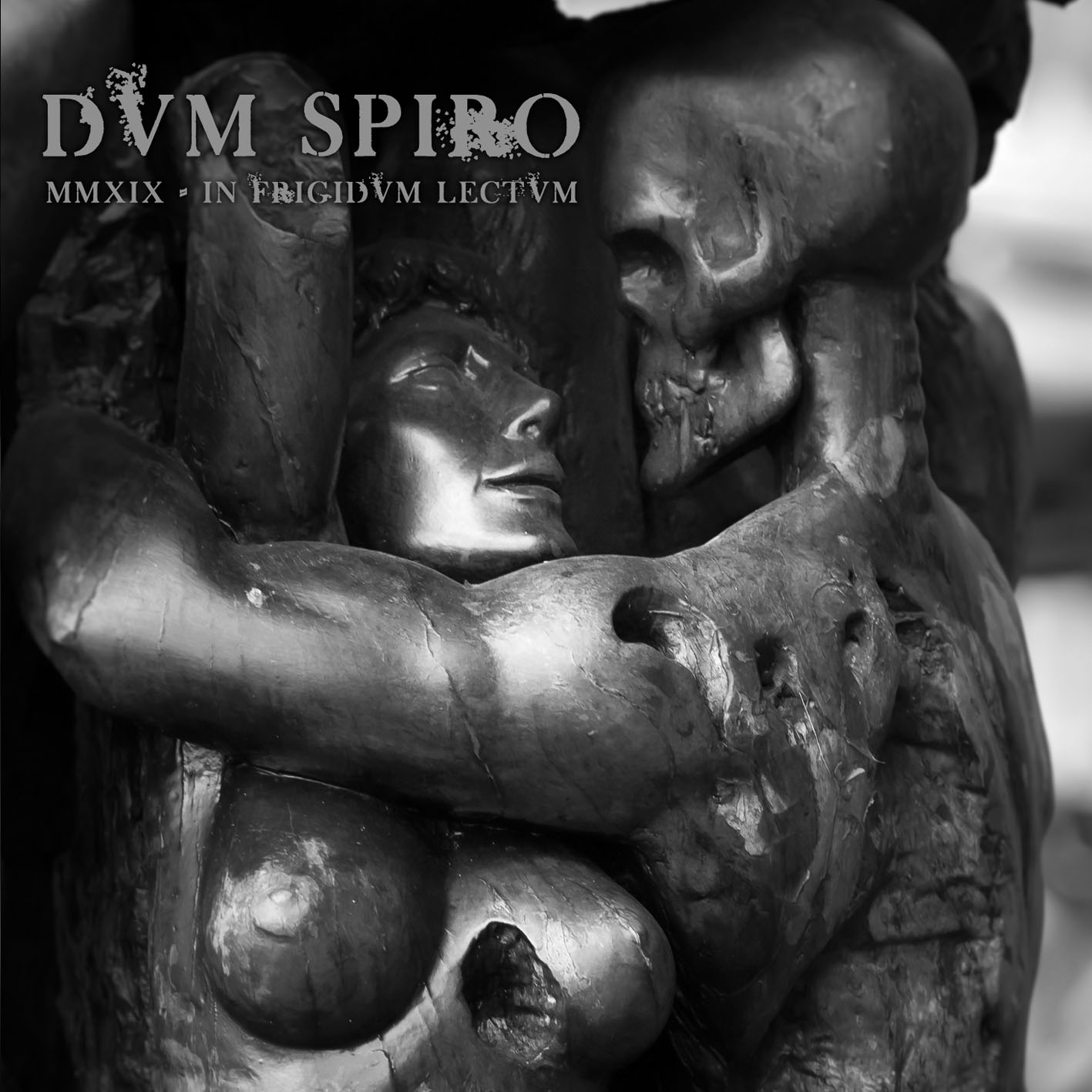 Dvm Spiro - cover